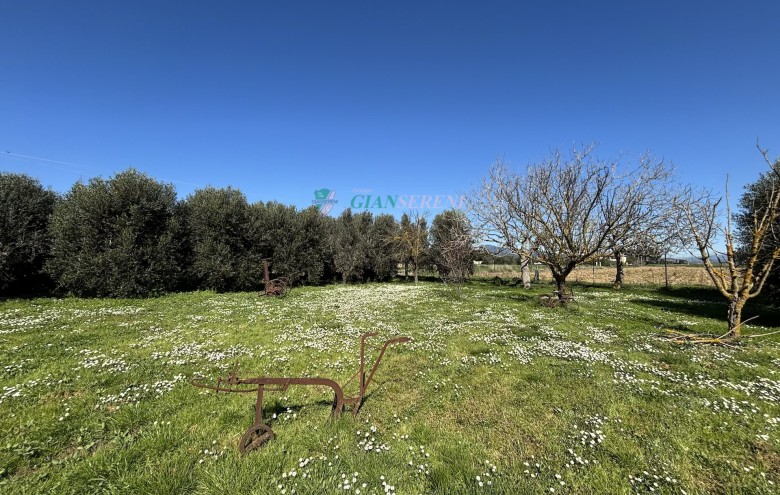 Agenzia Giansereni - 