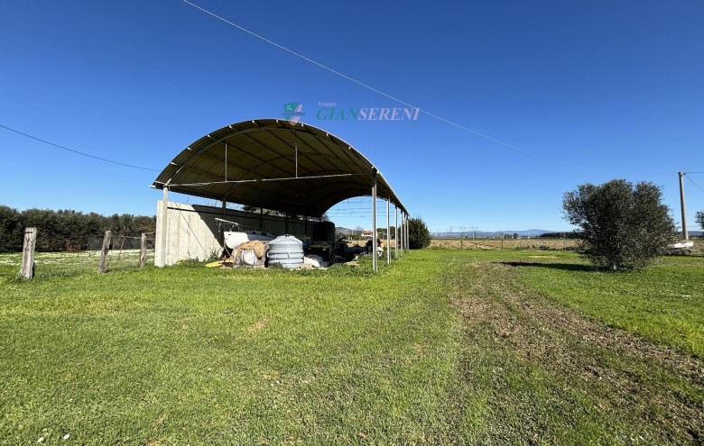 Agenzia Giansereni - 