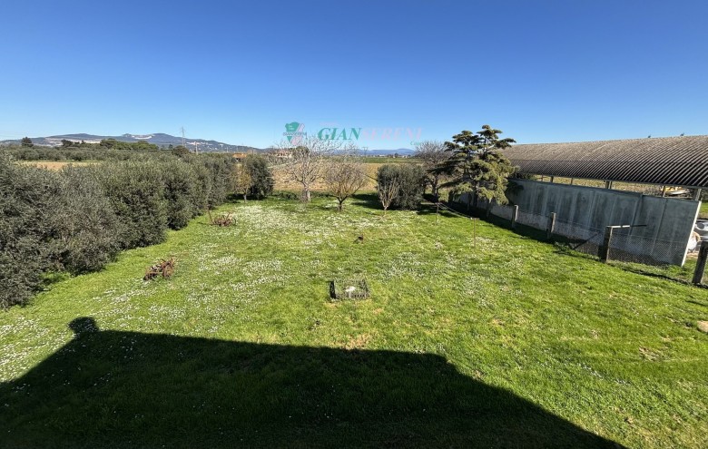 Agenzia Giansereni - 