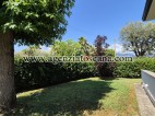 Two-family Villa for sale, Forte Dei Marmi - Centrale -  38
