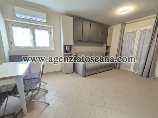 Two-family Villa for rent, Forte Dei Marmi - Centrale -  14