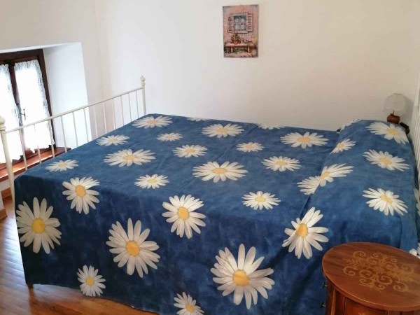 Rif. Q318 - casa semi indipendente in affitto a Massarosa - Gualdo | Foto 29