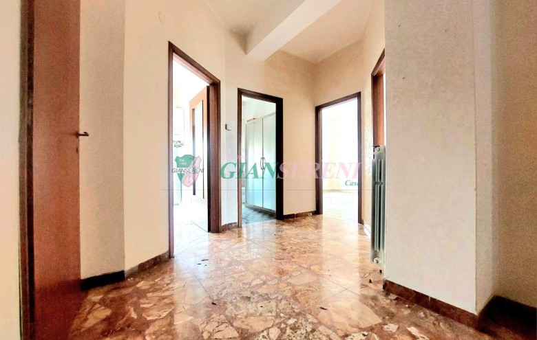 Agenzia Giansereni - 