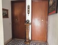 Pegasus - 