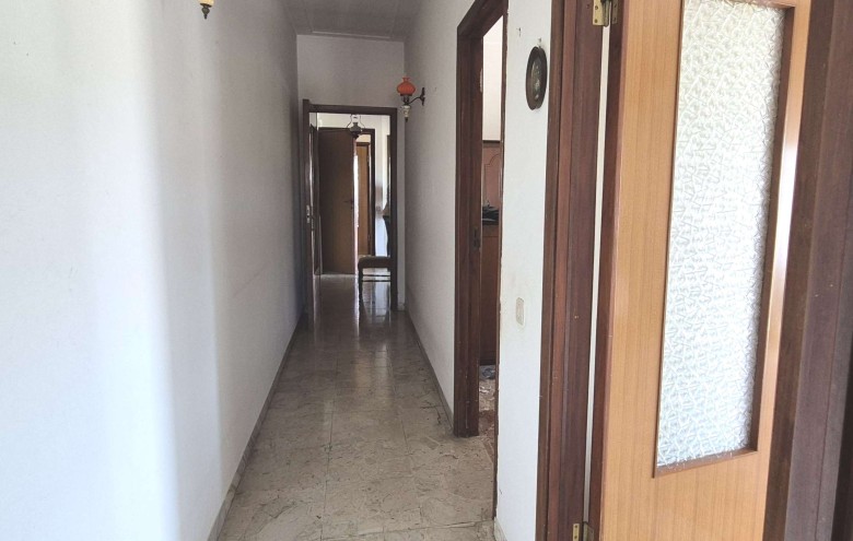 Agenzia Pegasus - 