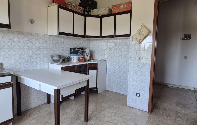 Agenzia Pegasus - 
