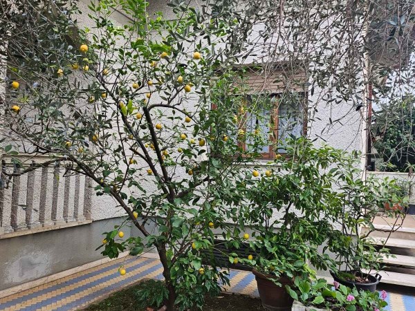 Pietrasanta