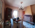 Pegasus - 