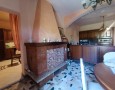 Pegasus - 