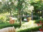 Immobile Commerciale - Direzionale in vendita, Forte Dei Marmi - Zona Via G. Battista Vico -  5