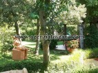 Immobile Commerciale - Direzionale in vendita, Forte Dei Marmi - Zona Via G. Battista Vico -  3