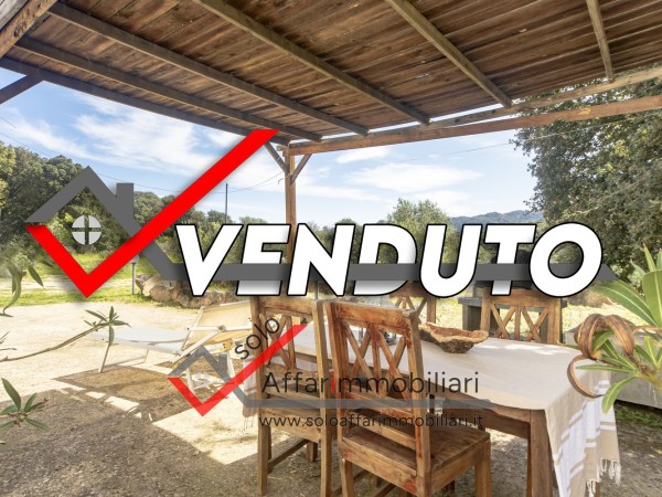 Riferimento S102 - Casa Semi Indipendente in Vendita a Monti