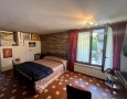 Pegasus - 