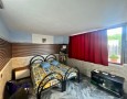 Pegasus - 
