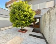 Pegasus - 