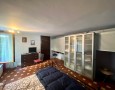 Pegasus - 