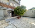 Pegasus - 