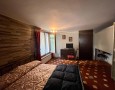 Pegasus - 