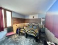 Pegasus - 