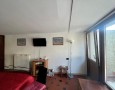 Pegasus - 