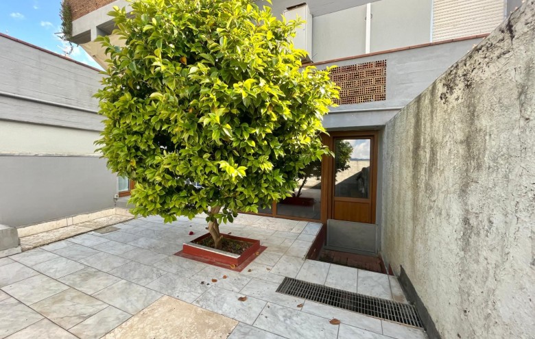 Agenzia Pegasus - 