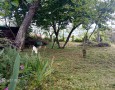 Giansereni Case - 
