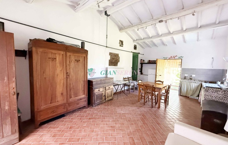 Agenzia Giansereni - 