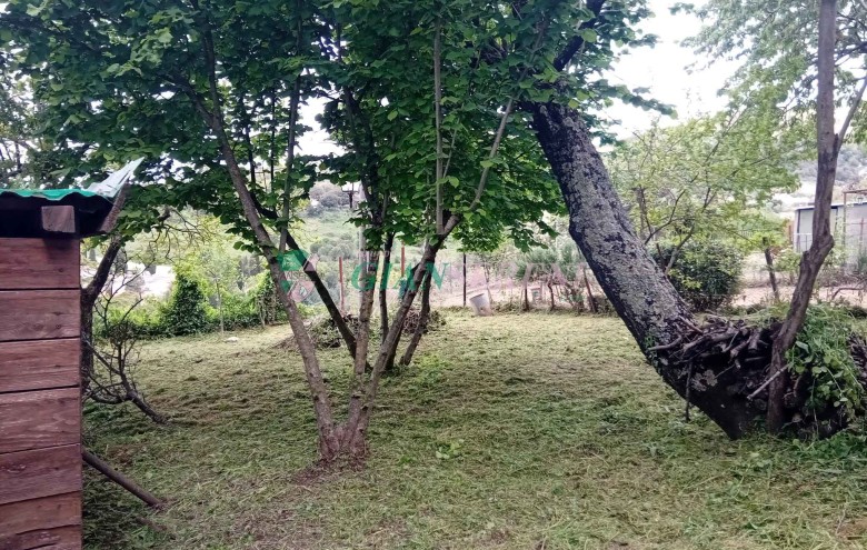 Agenzia Giansereni - 