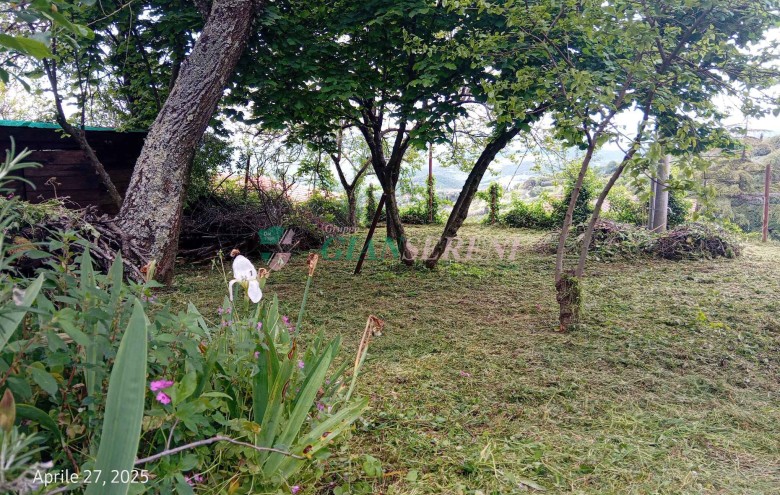 Agenzia Giansereni - 