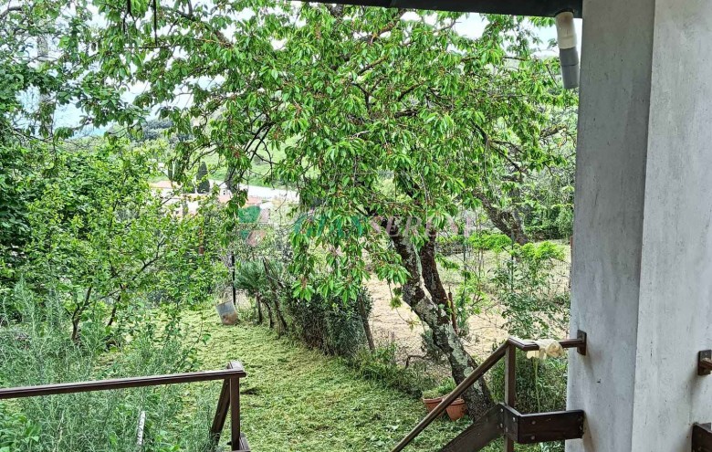 Agenzia Giansereni - 