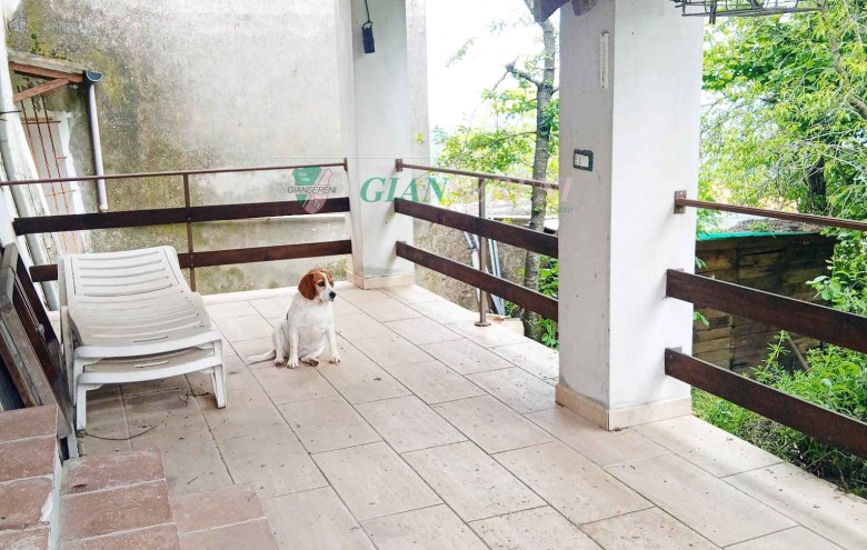 Agenzia Giansereni - 