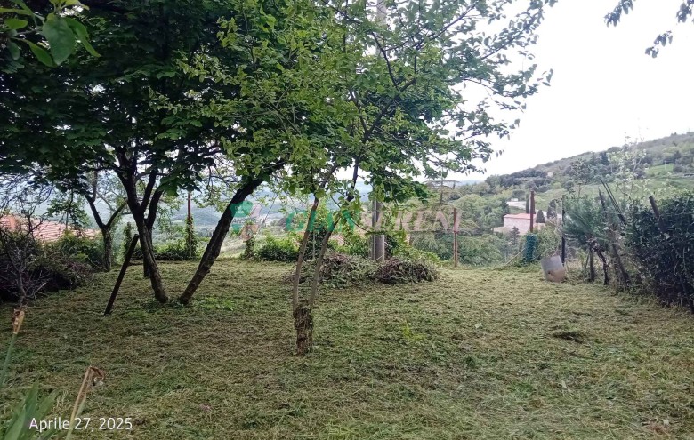 Agenzia Giansereni - 
