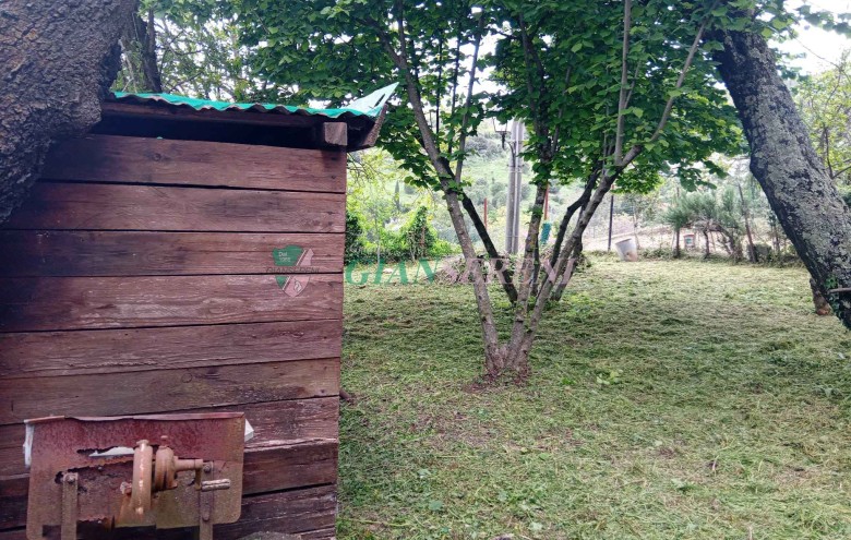 Agenzia Giansereni - 