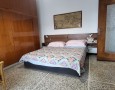 Pegasus - 