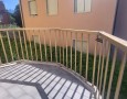 Pegasus - 