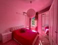 Pegasus - 