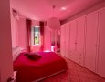 Pegasus - 
