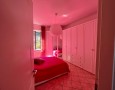 Pegasus - 