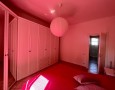 Pegasus - 