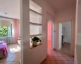 Pegasus - 