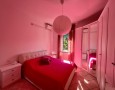 Pegasus - 