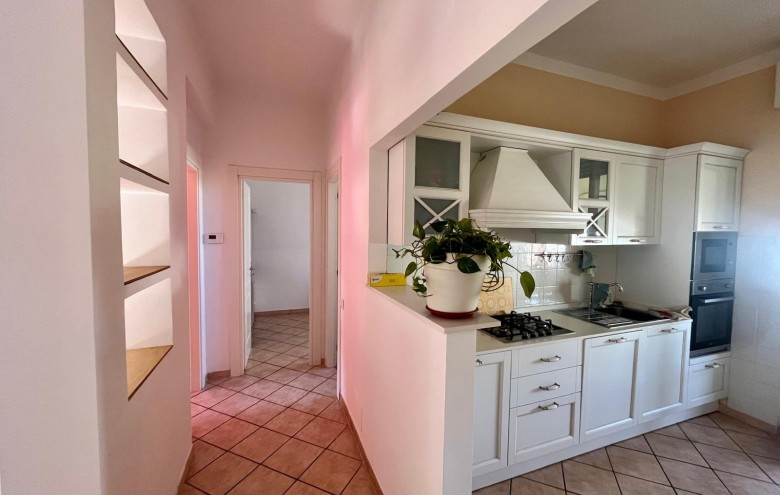 Agenzia Pegasus - 