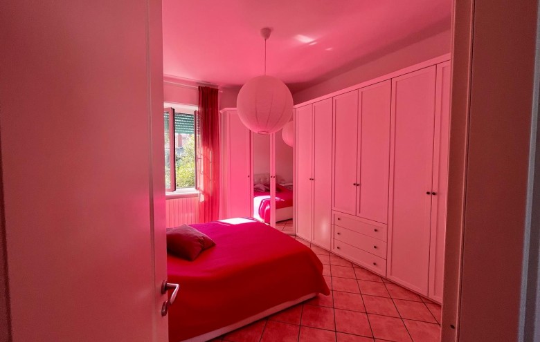 Agenzia Pegasus - 