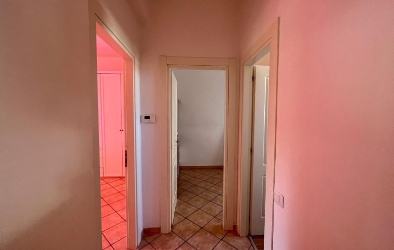 Agenzia Pegasus - 