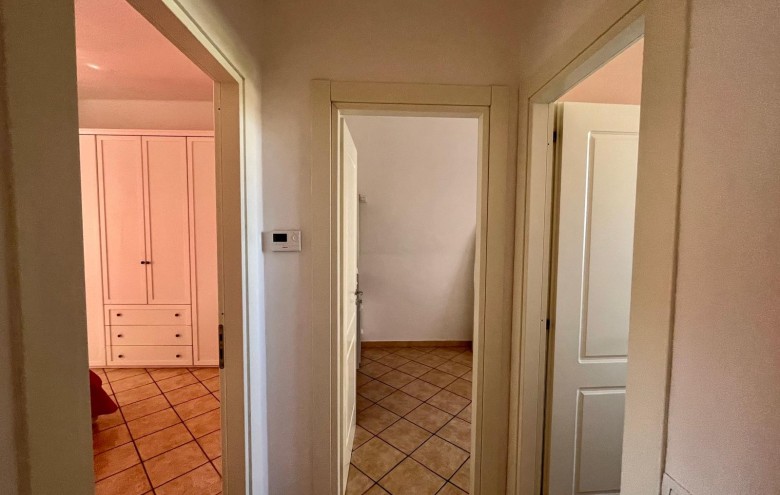 Agenzia Pegasus - 