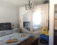 Pegasus - 