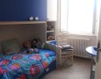 Pegasus - 