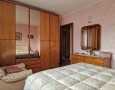 Pegasus - 