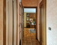 Pegasus - 