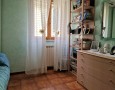 Pegasus - 